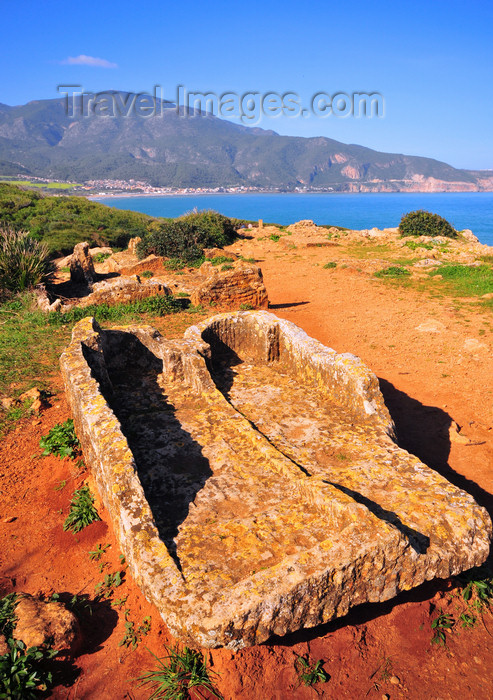 algeria397: Tipasa, Algeria / Algérie: twin tombs - Tipasa Roman ruins, Unesco World Heritage site | tombeaux jumelées - ruines romaines de Tipasa, Patrimoine mondial de l'UNESCO - photo by M.Torres - (c) Travel-Images.com - Stock Photography agency - Image Bank