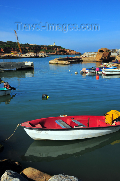 algeria410: Tipaza, Algeria / Algérie: boat in the port | bateau dans le port - photo by M.Torres - (c) Travel-Images.com - Stock Photography agency - Image Bank