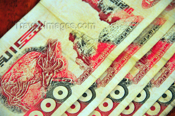 algeria417: Algeria / Algérie: Algerian dinar - DZD banknotes | Dinar algérien - billets - photo by M.Torres - (c) Travel-Images.com - Stock Photography agency - Image Bank