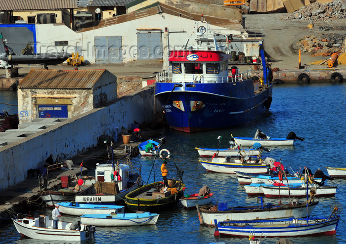 algeria433: Cherchell - Tipasa wilaya, Algeria / Algérie: harbour - trawler and smaller boats | port - chalutier et petits bateaux - photo by M.Torres - (c) Travel-Images.com - Stock Photography agency - Image Bank