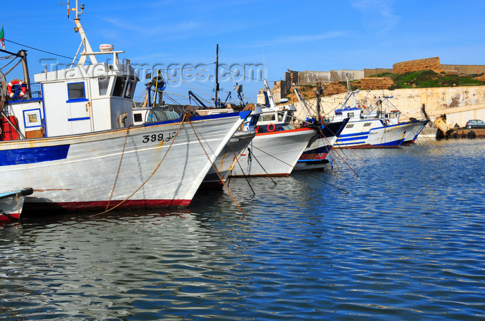 algeria448: Cherchell - Tipasa wilaya, Algeria / Algérie: harbour - prows | port - étraves - photo by M.Torres - (c) Travel-Images.com - Stock Photography agency - Image Bank