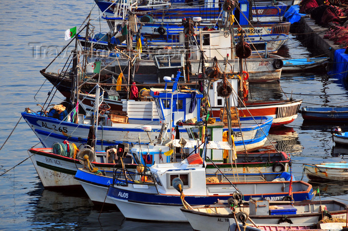 algeria495: Algiers / Alger - Algeria / Algérie: coastal fishing vessels - fishing harbour| bateaux de pêche côtière - Môle de Pêche - Pêcherie - photo by M.Torres - (c) Travel-Images.com - Stock Photography agency - Image Bank