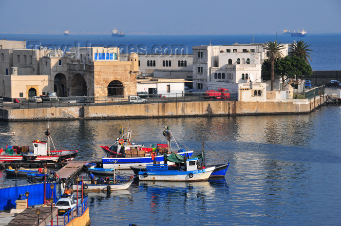 algeria498: Algiers / Alger - Algeria / Algérie: fishing harbour and the northern pier | Môle de Pêche et Jetée Nord - photo by M.Torres - (c) Travel-Images.com - Stock Photography agency - Image Bank