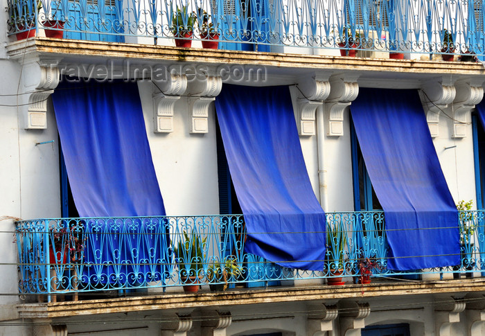 algeria531: Algiers / Alger - Algeria / Algérie: white building with blue curtains in the exterior - Asselah Hocine street - 'Algiers the White' | immeuble blanc avec des rideaux bleus à l'extérieur - Rue Asselah Hocine, ex-Rue Alfred Lelluch - Alger la Blanche - photo by M.Torres - (c) Travel-Images.com - Stock Photography agency - Image Bank