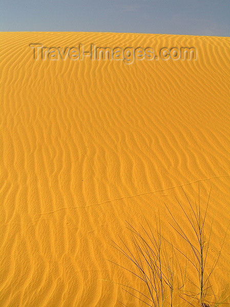 algeria54: Algeria / Algerie - Sahara desert: sand dunes - waves - photo by J.Kaman - dunes de sable - ondes - (c) Travel-Images.com - Stock Photography agency - Image Bank