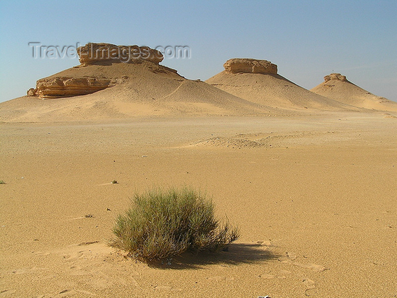 algeria55: Algeria / Algerie - Sahara desert : mesas - unusual sandstone formations - photo by J.Kaman - formations de grès - (c) Travel-Images.com - Stock Photography agency - Image Bank