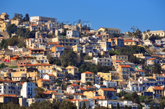 algeria561: Algiers / Alger - Algeria / Algérie: Z'ghara quarter - residential buildings - Bologhine | quartier de Zeghara - logement populaire - Bologhine - photo by M.Torres - (c) Travel-Images.com - Stock Photography agency - Image Bank