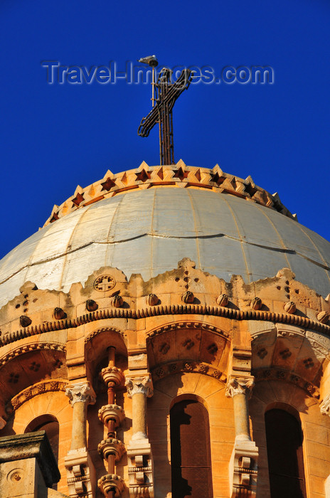 algeria587: Algiers / Alger - Algeria / Algérie: Notre Dame d'Afrique basilica - cross and silver dome | Basilique Notre-Dame d'Afrique - croix et dôme argenté - photo by M.Torres - (c) Travel-Images.com - Stock Photography agency - Image Bank