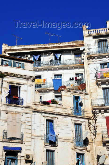 algeria673: Algiers / Alger - Algeria / Algérie: white buildings - Ali Boumendjel street | édifices blancs - Rue Ali Boumendjel, ex-rue Dumont d’Urville - photo by M.Torres - (c) Travel-Images.com - Stock Photography agency - Image Bank