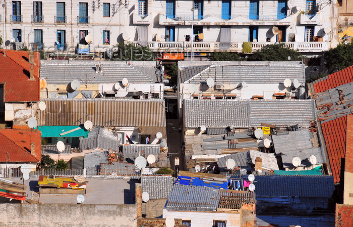 algeria690: Algiers / Alger - Algeria / Algérie: working-class district of Belouizdad / Belcourt, where Albert Camus was brought up - zinc roofs | Belouizdad / Belcourt - quartier populaire où Albert Camus a été élevé - photo by M.Torres - (c) Travel-Images.com - Stock Photography agency - Image Bank