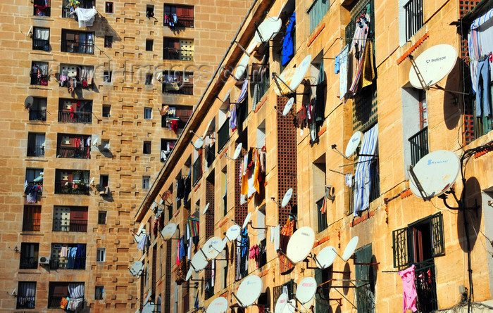 algeria692: Algiers / Alger - Algeria: social housing - satellite dishes - Diar El Mahcoul, El Madania | immeubles d'un quartier populaire - antennes paraboliques - Diar El Mahcoul, El Madania - photo by M.Torres - (c) Travel-Images.com - Stock Photography agency - Image Bank