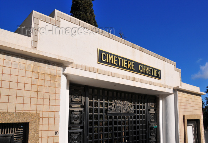 algeria698: Algiers / Alger - Algeria: Christian Cemetery - Chemin Mohamed Gacem, El Madania | Cimetière Chrétien - Chemin Mohamed Gacem, El Madania - photo by M.Torres - (c) Travel-Images.com - Stock Photography agency - Image Bank