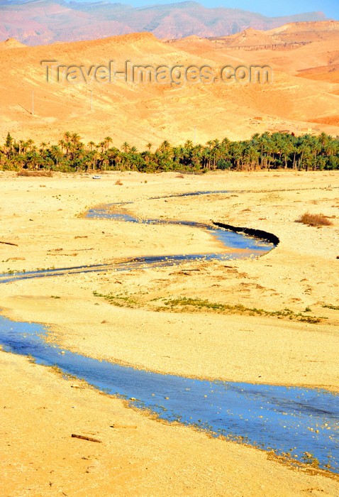 algeria7: Biskra, Algeria / Algérie: Oued El Abiod - zigzaging stream on the wadi - photo by M.Torres | Oued El Abiod - zig-zag - (c) Travel-Images.com - Stock Photography agency - Image Bank