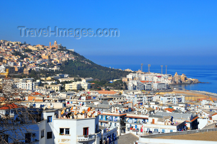 algeria705: Algiers / Alger - Algeria / Algérie: Bab El Oued, Bologhine, Z'ghara and the Mediterranean coast | Bab El Oued, Bologhine, Zeghara Bab-el-Oued et la côte méditerranéenne - photo by M.Torres - (c) Travel-Images.com - Stock Photography agency - Image Bank