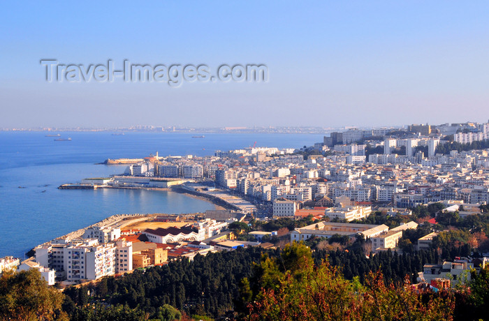 algeria713: Algiers / Alger - Algeria / Algérie: Bab El Oued and St Eugène European cemetery seen from the terrace of Notre Dame d'Afrique cathedral | Bab-el-Oued, pointe Kettani et le cimetière européen de Saint-Eugène vue de la terrasse de Notre Dame d'Afrique - photo by M.Torres - (c) Travel-Images.com - Stock Photography agency - Image Bank