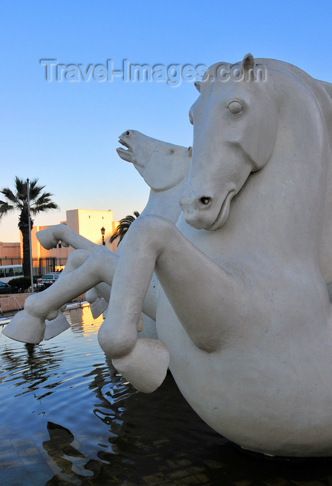 algeria719: Algiers / Alger - Algeria / Algérie: fountain with mythical sea horses - Boulevard Amara Rashid - Bab El Oued | fontaine avec chevaux de mer mythiques - Bd Amara Rachid - Bab-el-Oued - photo by M.Torres - (c) Travel-Images.com - Stock Photography agency - Image Bank