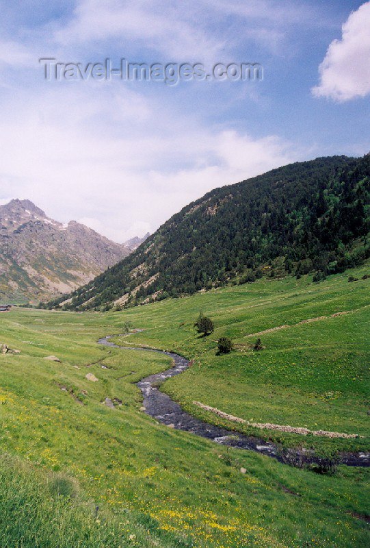 andorra3: Andorra - Coma de Ransol: stream flowing from the mountain - Pyrenees (photo by M.Torres) - (c) Travel-Images.com - Stock Photography agency - Image Bank