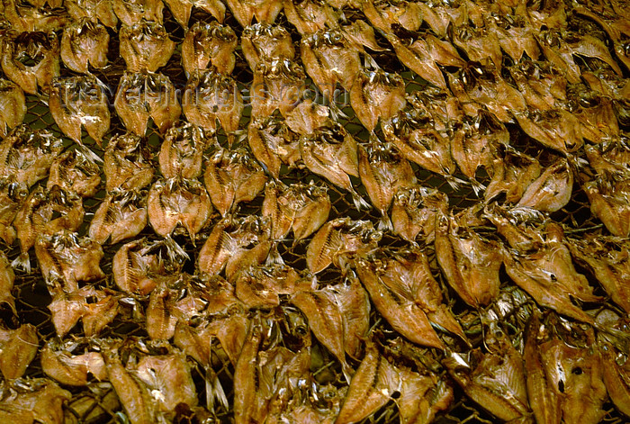 angola19: Angola - Luanda - Luanda Island - fish drying -Ilha de Luanda - peixe a secar 2 - images of Africa by F.Rigaud - (c) Travel-Images.com - Stock Photography agency - Image Bank