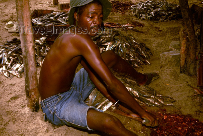 angola20: Angola - Luanda - Luanda Island - preparing fish - Ilha de Luanda - preparando o peixe - images of Africa by F.Rigaud - (c) Travel-Images.com - Stock Photography agency - Image Bank