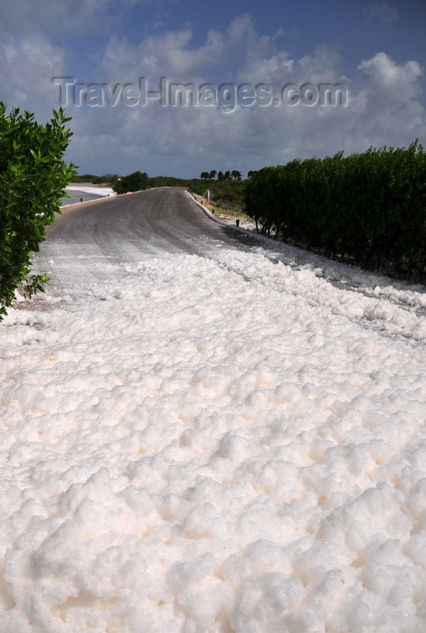 anguilla18: Cove Pond, West End Village, Anguilla: natural white foam covers the road to road to Cap Juluca - Anguilla's 'snow' - photo by M.Torres - (c) Travel-Images.com - Stock Photography agency - Image Bank