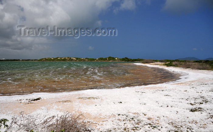 anguilla20: Cove Pond, West End Village, Anguilla: salty waters surrounded by natural white foam - photo by M.Torres - (c) Travel-Images.com - Stock Photography agency - Image Bank