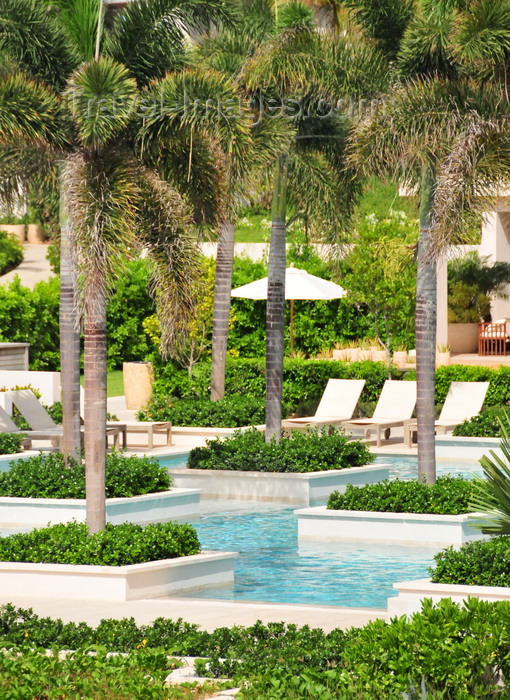 anguilla54: Barnes Bay, West End, Anguilla: Viceroy Anguilla hotel - palm trees on the pool - Luxury Caribbean Resort - photo by M.Torres - (c) Travel-Images.com - Stock Photography agency - Image Bank