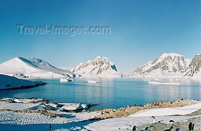 antarctica20: Penola Strait: seen  from the Adelie rookery on Petermann Island with the mainland on the other side (photo by B.Cloutier) - (c) Travel-Images.com - Stock Photography agency - Image Bank