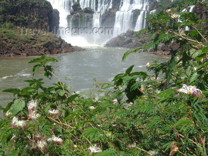 argentina218: Argentina - Iguazu Falls - falls and vegetation - images of South America by M.Bergsma - (c) Travel-Images.com - Stock Photography agency - Image Bank