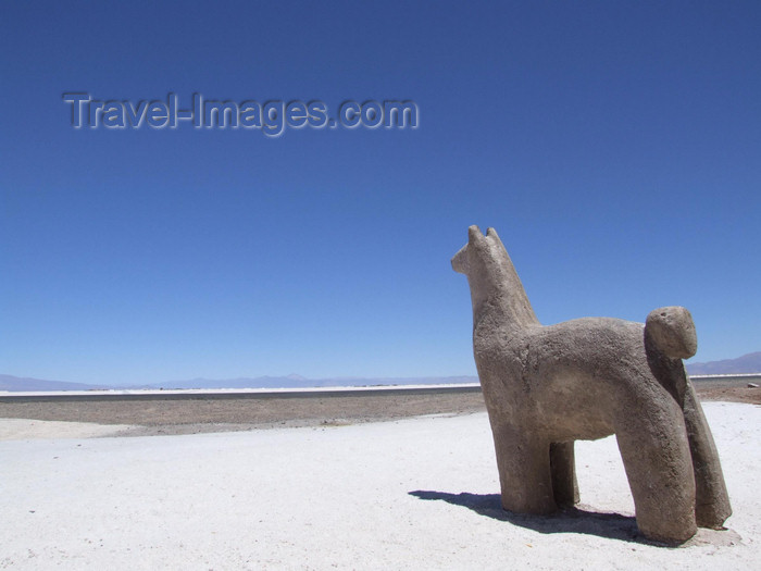 argentina287: Argentina - Salta province - Salinas Grandes -  Vicuña statue - images of South America by M.Bergsma - (c) Travel-Images.com - Stock Photography agency - Image Bank