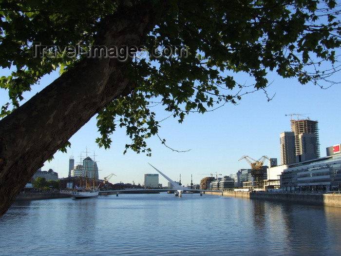 argentina348: Argentina - Buenos Aires - Puerto Madero - tree - images of South America by M.Bergsma - (c) Travel-Images.com - Stock Photography agency - Image Bank