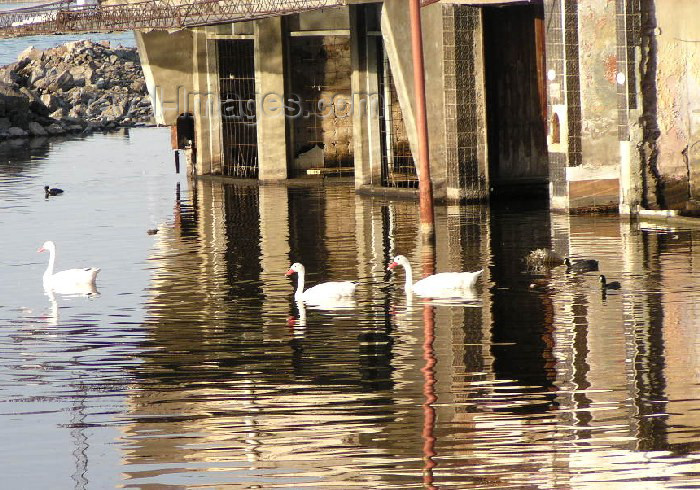 argentina38: Argentina - Miramar (Cordoba province): life continues after the flood - photo by Captain Peter - (c) Travel-Images.com - Stock Photography agency - Image Bank