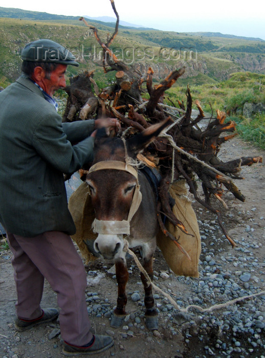 armenia101: Armenia - Ambert / Amberd, Aragatsotn province: peasant with donkey - photo by S.Hovakimyan - (c) Travel-Images.com - Stock Photography agency - Image Bank