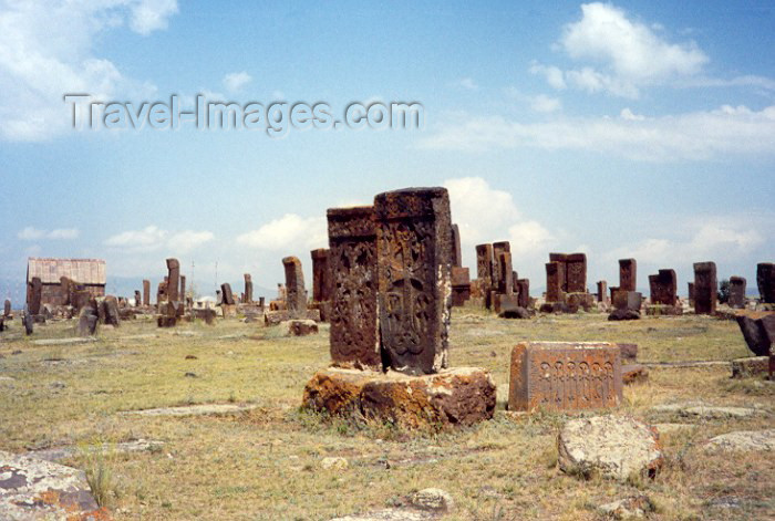 armenia60: Armenia - Noratous, Gegharkunik province: Ashkar forest  - photo by M.Torres - (c) Travel-Images.com - Stock Photography agency - Image Bank