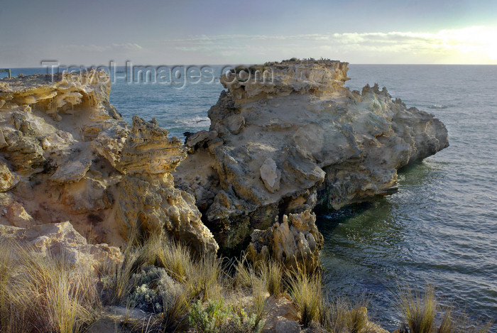 australia25: Australia - Canunda National Park, South Australia - photo by G.Scheer - (c) Travel-Images.com - Stock Photography agency - Image Bank