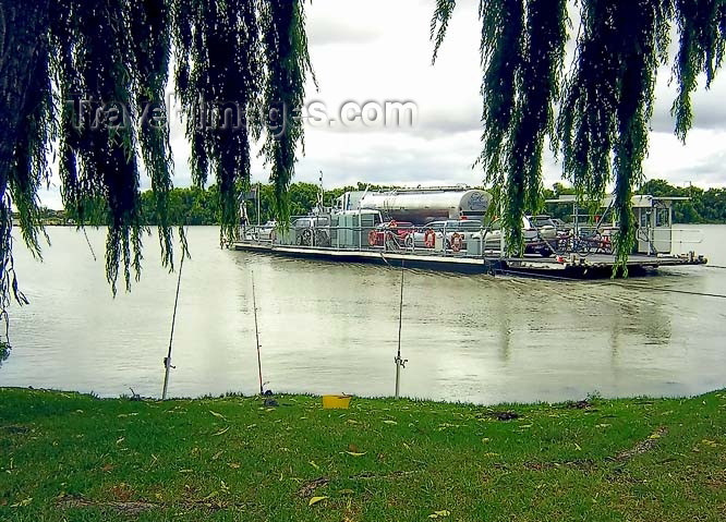 australia448: Australia - Wellington (SA): ferry - Murray River - photo by Luca Dal Bo - (c) Travel-Images.com - Stock Photography agency - Image Bank