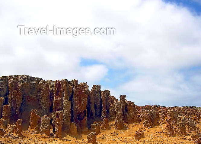 australia458: Australia - Cape Nelson SP (Victoria): Cape Duquesne Petrified Forest - photo by Luca Dal Bo - (c) Travel-Images.com - Stock Photography agency - Image Bank