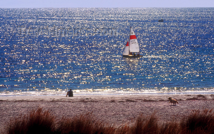 australia675: Australia - Delamere, South Australia: Beach - photo by G.Scheer - (c) Travel-Images.com - Stock Photography agency - Image Bank