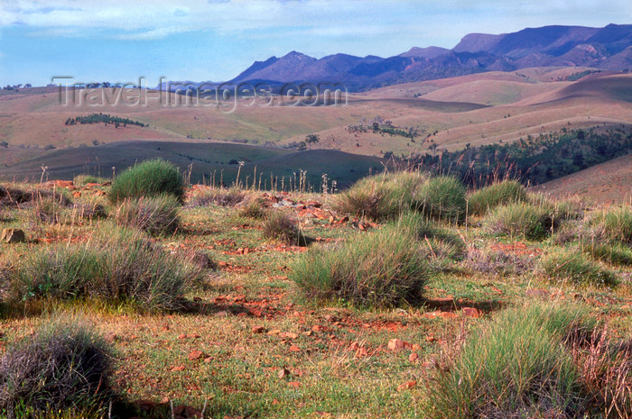 australia682: Australia - Flinders Ranges, South Australia: Stokes lookout - photo by G.Scheer - (c) Travel-Images.com - Stock Photography agency - Image Bank