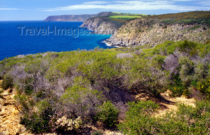 australia684: Australia - Kangaroo Is., South Australia: North coast cliffs - photo by G.Scheer - (c) Travel-Images.com - Stock Photography agency - Image Bank