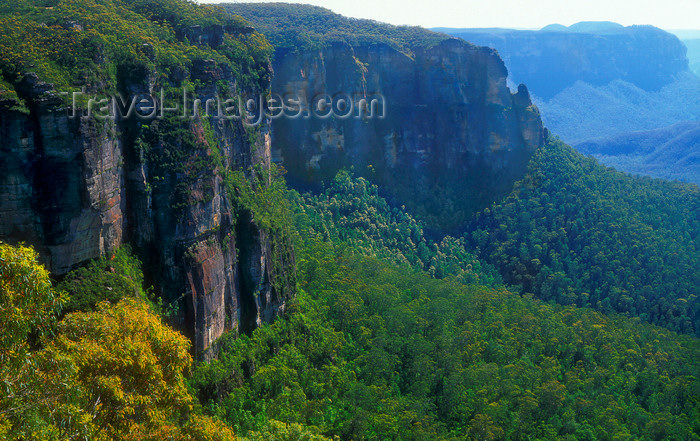 australia738: Blue Mountains, New South Wales, Australia: Blue Mountains National Park Valley, near Blackheath - UNESCO world heritage site - photo by G.Scheer - (c) Travel-Images.com - Stock Photography agency - Image Bank