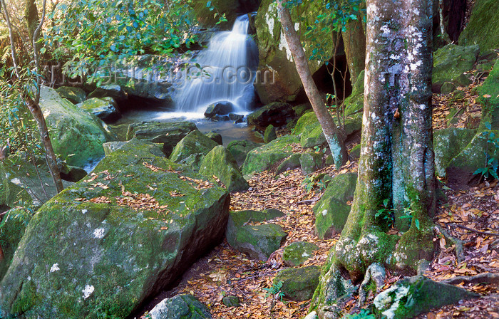 australia750: Blue Mountains, New South Wales, Australia: waterfall, near Katoomba - photo by G.Scheer - (c) Travel-Images.com - Stock Photography agency - Image Bank