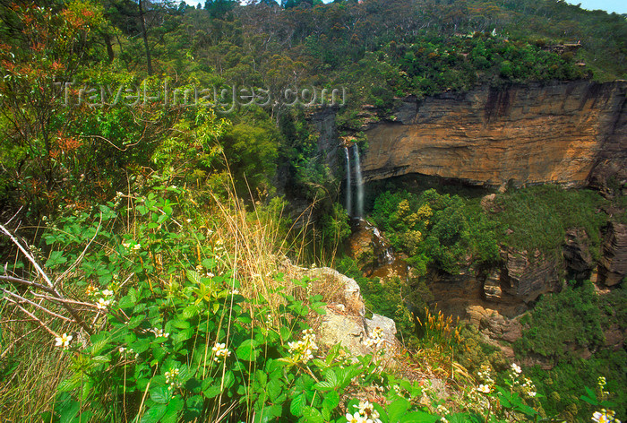 australia754: Blue Mountains, New South Wales, Australia: Wentworth Falls from above - Blue Mountains National Park - photo by G.Scheer - (c) Travel-Images.com - Stock Photography agency - Image Bank