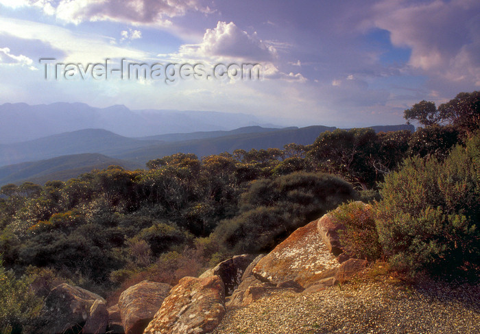 australia768: Grampians National Park, Victoria, Australia: view from Mt. William - photo by G.Scheer - (c) Travel-Images.com - Stock Photography agency - Image Bank