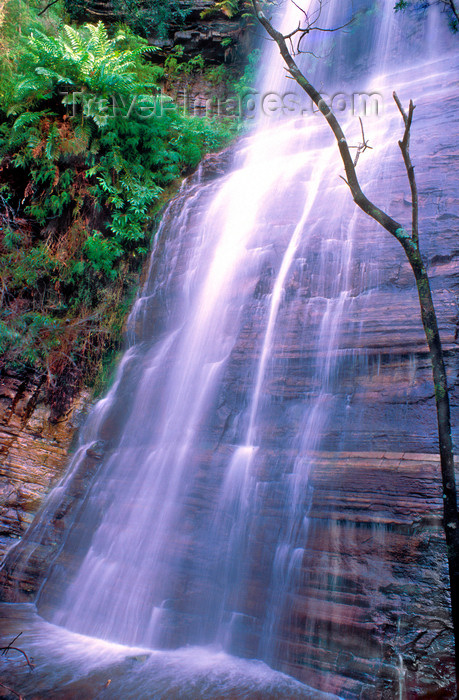 australia777: Grampians National Park, Victoria, Australia: Kalymna Falls - photo by G.Scheer - (c) Travel-Images.com - Stock Photography agency - Image Bank