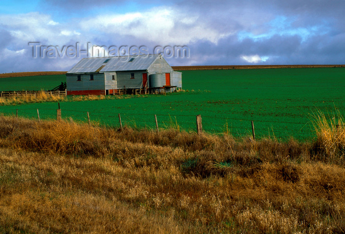 australia794: Victoria, Australia: shearing shed - photo by G.Scheer - (c) Travel-Images.com - Stock Photography agency - Image Bank