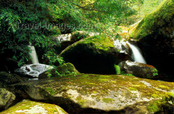 australia808: Yarra Ranges, Victoria, Australia: Yarra Ranges Cascades - photo by G.Scheer - (c) Travel-Images.com - Stock Photography agency - Image Bank