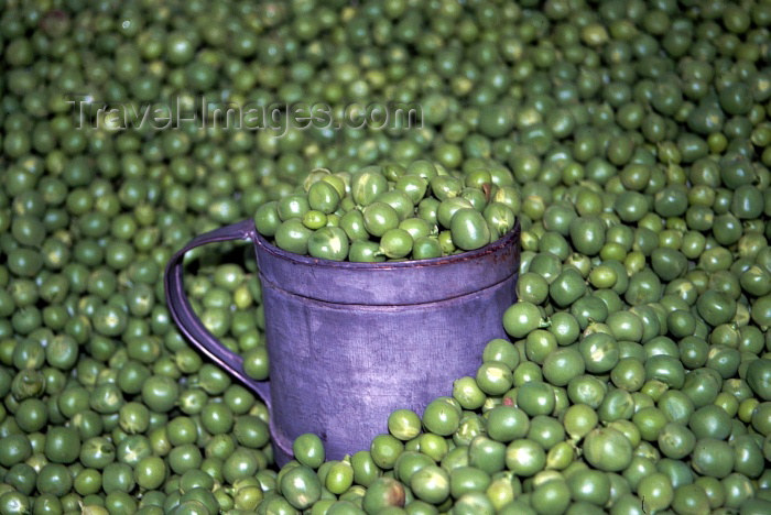 austria45: Austria - Dürnstein in der Wachau (Niederosterreich): peas in an old world shop - Erbse - Pisum sativum - ervilhas (photo by F.Rigaud) - (c) Travel-Images.com - Stock Photography agency - Image Bank