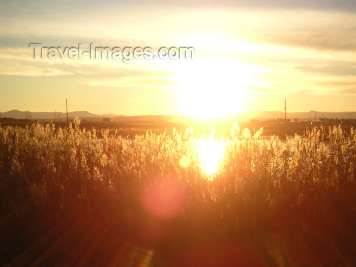 azer157: Azerbaijan - Surakhany / Suraxani - Absheron peninsula: sunset (photo by Austin Kilroy) - (c) Travel-Images.com - Stock Photography agency - Image Bank