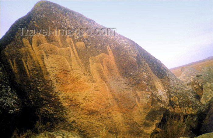 azer20: Azerbaijan - Gobustan / Qobustan / Kobustan: petroglyphs / stone engravings representing local fauna of the Mesolithic - deer - Gobustan Open Air Museum - stone age art -  photo by  Asya Umidova - (c) Travel-Images.com - Stock Photography agency - Image Bank