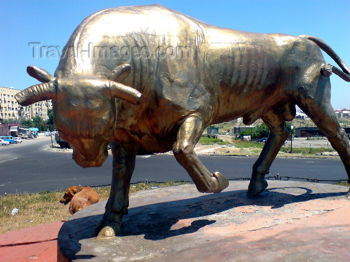 azer208: Azerbaijan - Hovsani settlement - Absheron peninsula: golden bull statue on a round-about - öküz - photo by N.Mahmudova - (c) Travel-Images.com - Stock Photography agency - Image Bank